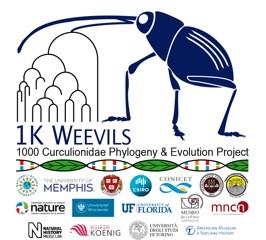 Duane McKenna Weevils Project