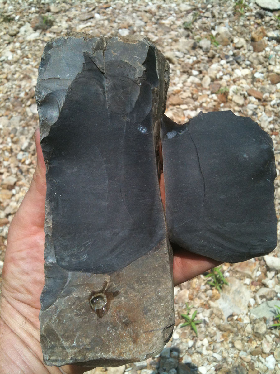 Ryan Parish, Earth Sciences