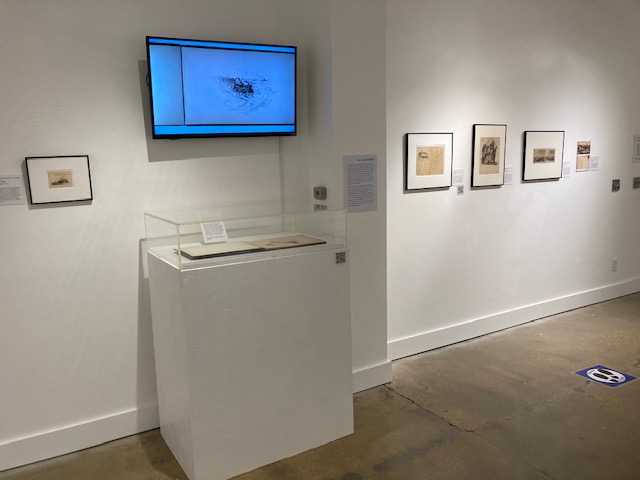 installation view of Sketching Europe Exhibition in Samuel Hester Crone Gallery