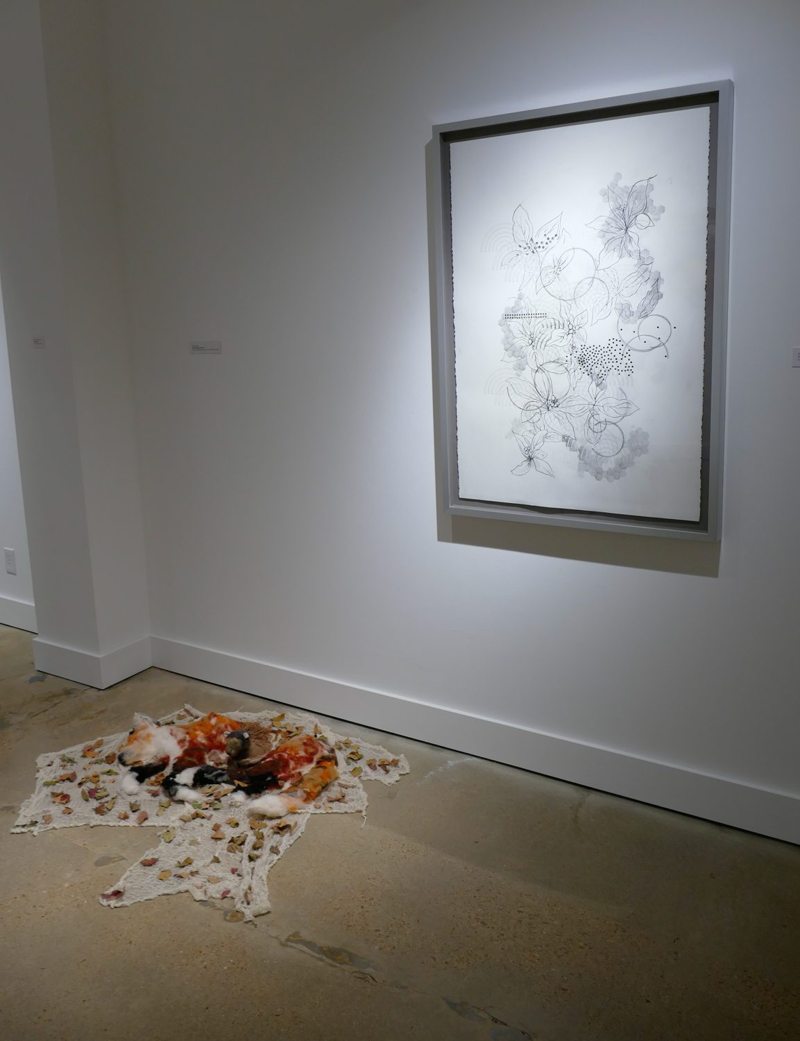 35th Annual Juried Student Exhibition - Installation Views