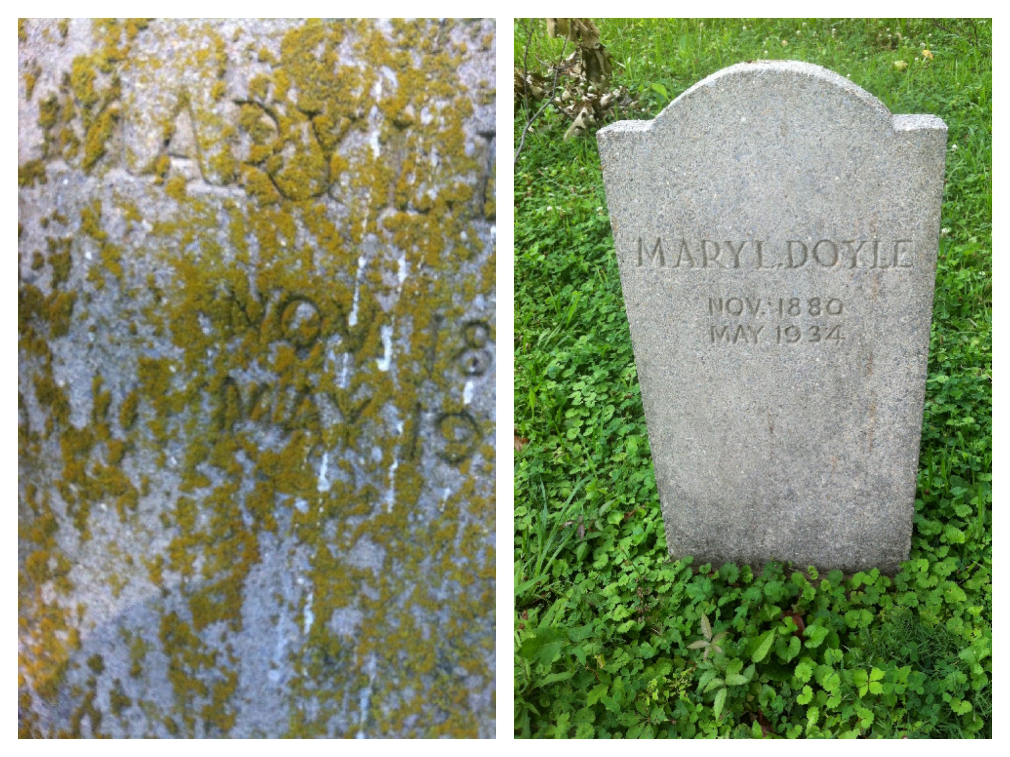 carolyn trimble practicum