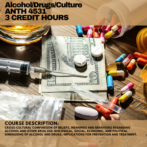 Alcohol Drugs Culture Course