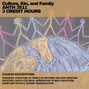 Culture Kin and Family course