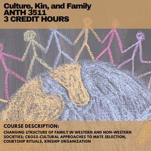 culture kin family summer
