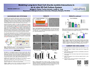 Modeling Long-term Host Cell-Giardia lamblia Interactions in an in vitro 3D Cell Culture System