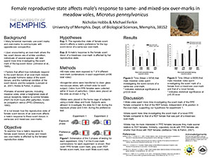 Female reproductive state affects male's response to same- and mixed-sex over-marks in meadow voles, Microtus pennsylvanicus