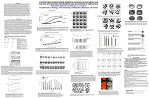The Protein Phosphatase Inhibitor Okadaic Acid Stimulates Oocyte Maturation and Inhibits Egg Activation in Zebrafish Ravikanth Nathani
