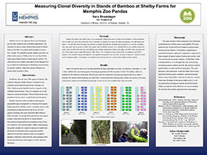 Measuring Clonal Diversity in Stands of Bamboo at Shelby Farms for Memphis Zoo Pandas