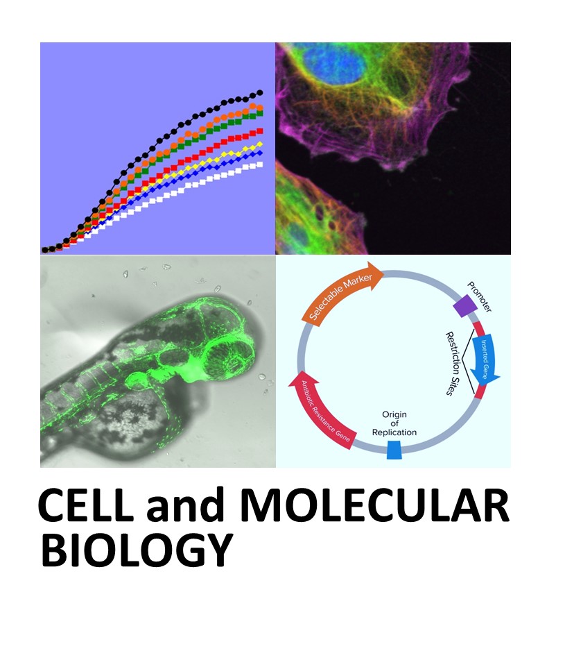 Cellular and Molecular Biology