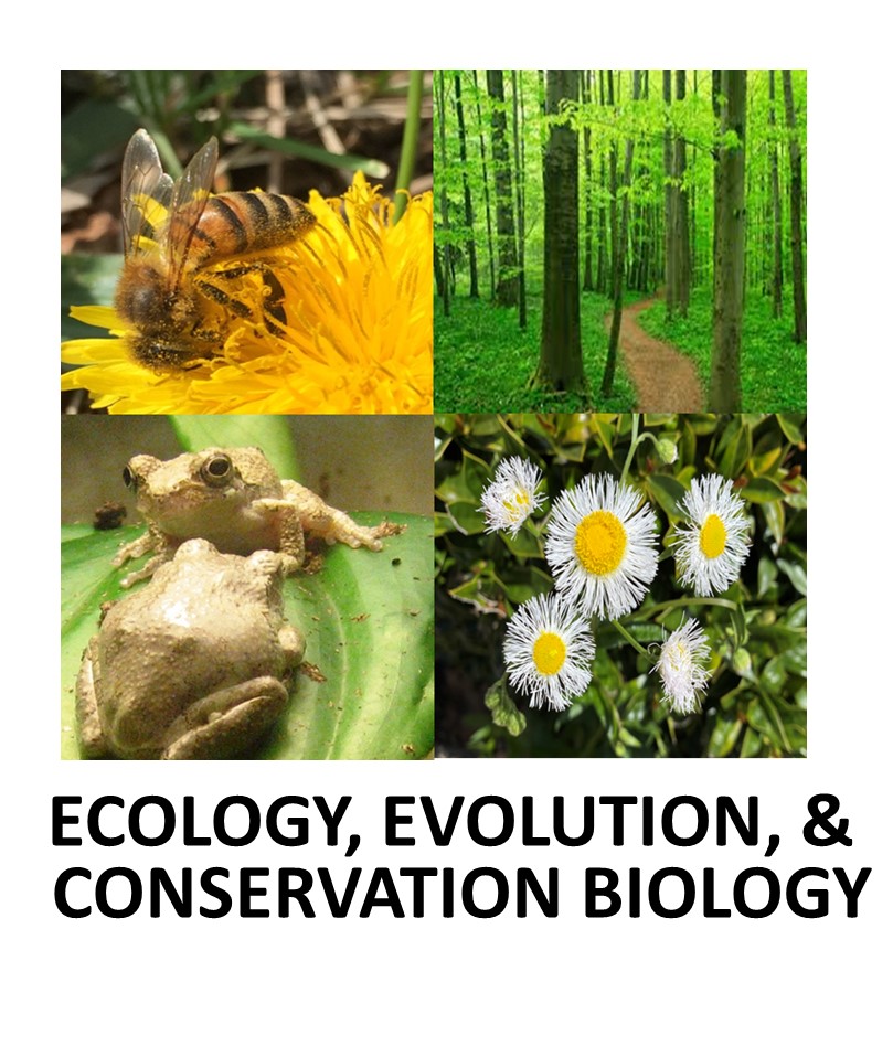 Ecology and Evolution