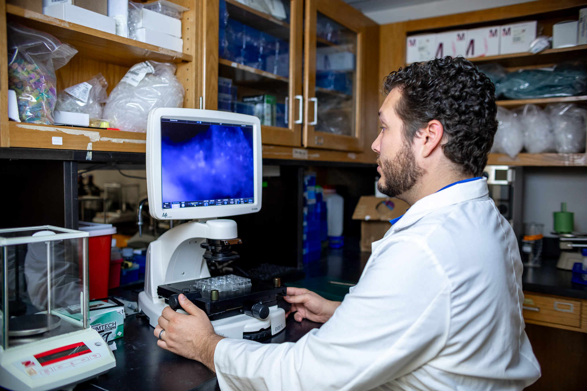 Welcome to Biomedical Engineering! 