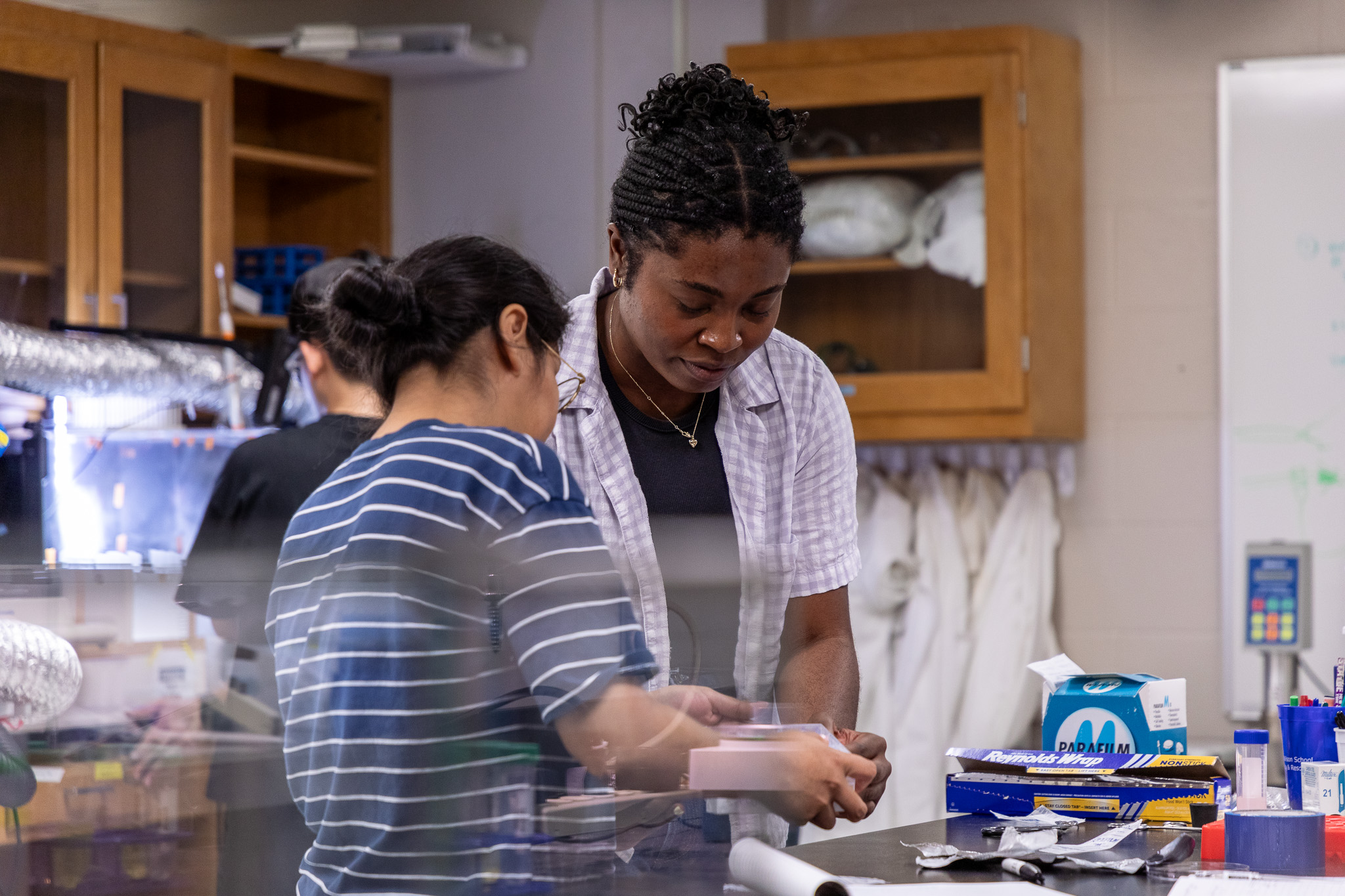 Welcome to Biomedical Engineering! 