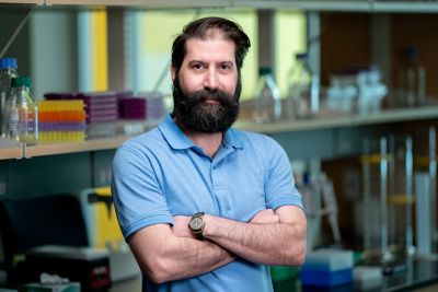 Diego Velasquez Pulgarin