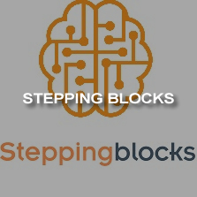 Stepping Blocks