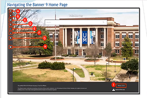 Banner (Geraldine Taylor)