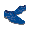 Blue Suede Shoes