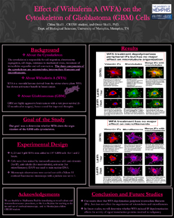 Chloe Skalli poster submitted summer 2012 width=