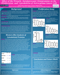 Anita Pershad poster submitted summer 2013