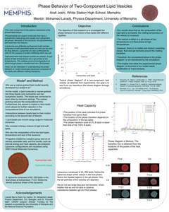 Arati Joshi poster submitted summer 2013