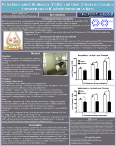 Monica Shah poster submitted summer 2013
