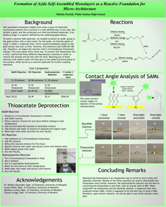 Nikisha Parekh poster submitted summer 2013