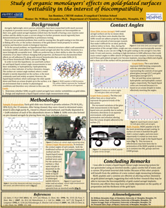 Ian Romines Ian Romines