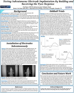 Paul Rozzi Paul Rozzi