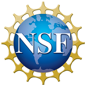 National Science Foundation Logo National Science Foundation Logo