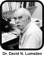 David Lumsden David Lumsden