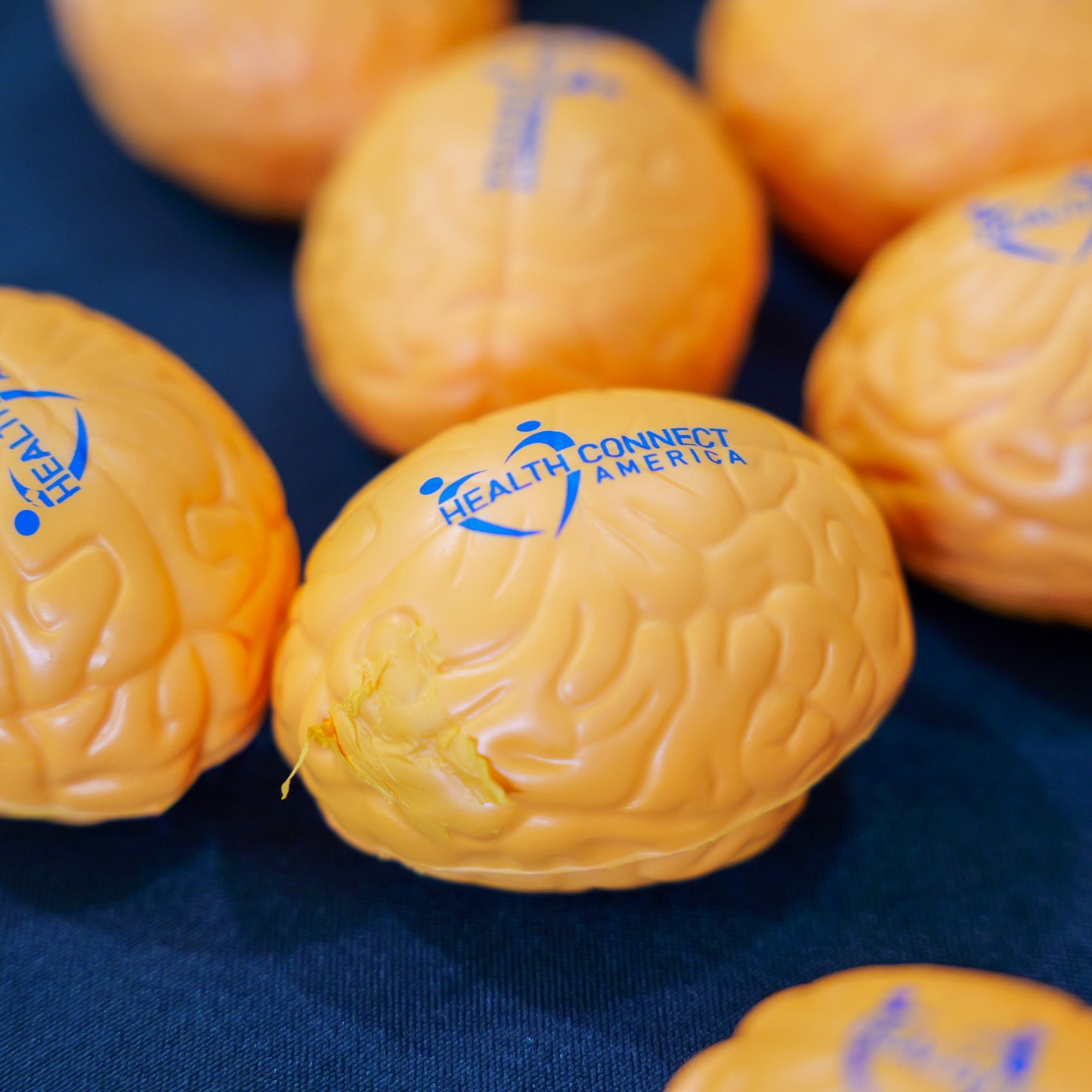 Table display for vendor at CEPR Internship Fair