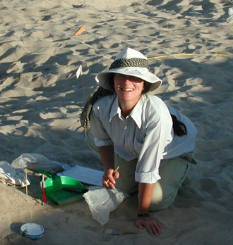 Dr. Friedman at Work