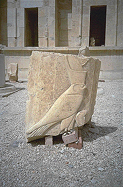 Falcon Deir el Bahri