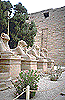 Karnak temple sphinxes