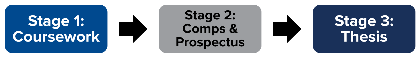 Stage 1: Coursework. Stage 2: Comps & Prospectus. Stage 3: Thesis