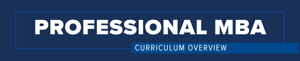 Professional MBA - Curriculum Overview