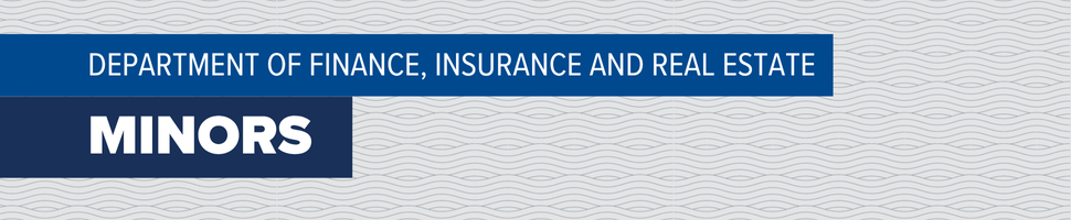 Department of Finance, Insruance and Real Estate Minors Department of Finance, Insruance and Real Estate Minors