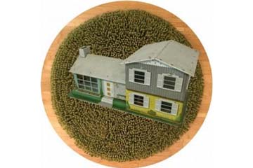 SUE JOHNSON: HOME OF FUTURE THINGS