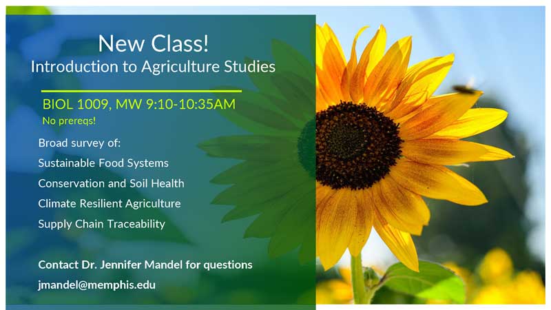 BIOL 1009 class flyer