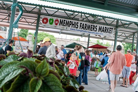 People shopping at a farmer's market