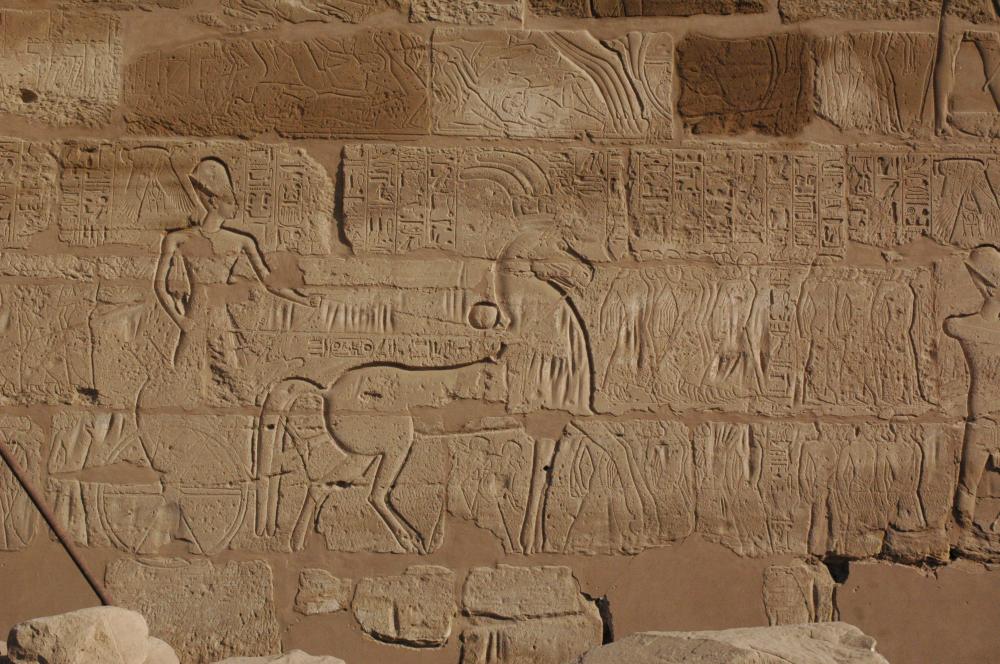 Ramesses II prisoners