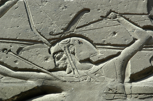 Attack upon the Libyans 15