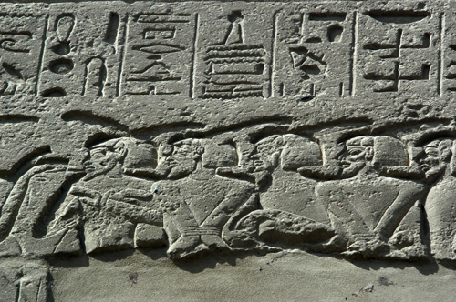 Presentation of booty 19