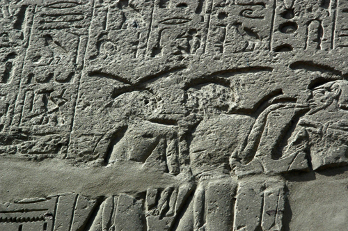 Presentation of booty 20