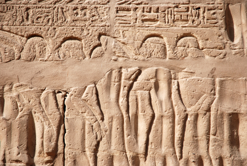 Presentation of booty 41