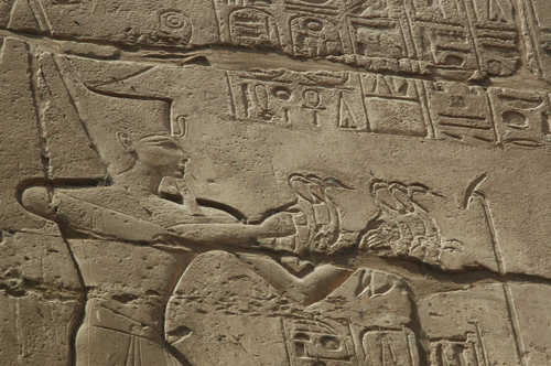 Plate 43 (B87) - Ramesses II offering captured birds to the Theban Triad
