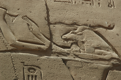 Plate 51 (B95-96) - Ramesses II emerging from the palace (left, B96) and being purified by Khnum (right, B95)