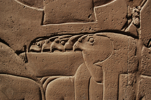 Plate 53 (B99-100) - Ramesses II censing the procession of barks of the Theban Triad followed by Sety I