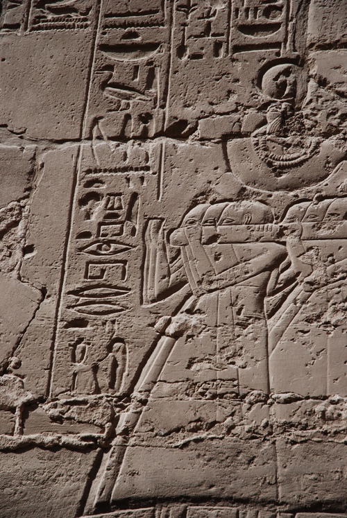 Plate 53 (B99-100) - Ramesses II censing the procession of barks of the Theban Triad followed by Sety I