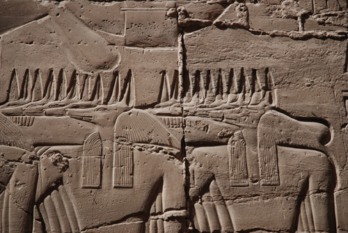 Plate 53 (B99-100) - Ramesses II censing the procession of barks of the Theban Triad followed by Sety I