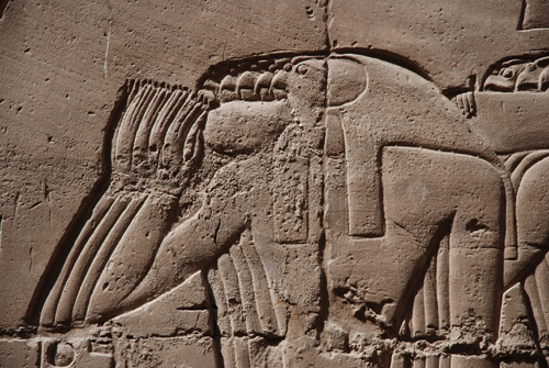 Plate 53 (B99-100) - Ramesses II censing the procession of barks of the Theban Triad followed by Sety I